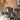 Alessi Pots & Pans | Set di Pentole 7 pezzi