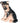 Royal Copenhagen Cagnolino Puppy | Statuina