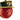 Alessi Christmas Tree Decoration "General Coral"